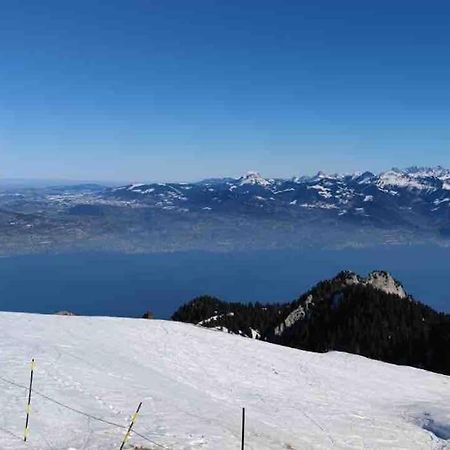Studio Myrtilles Du Leman Vue Sur Lac Et Montagne Thollon-les-Memises Exteriör bild