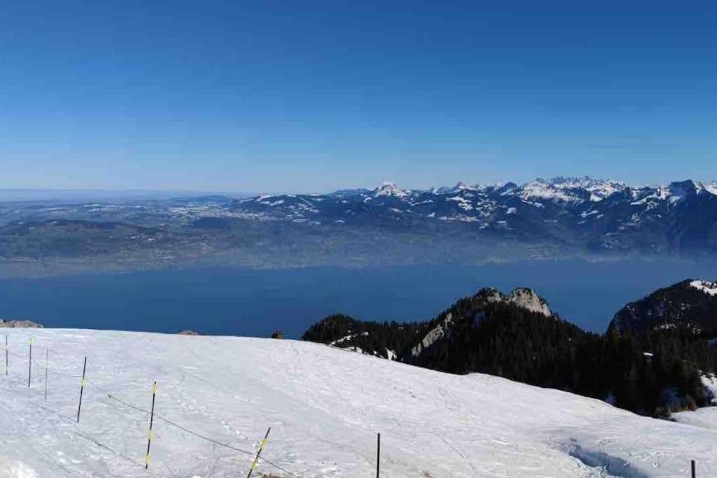 Studio Myrtilles Du Leman Vue Sur Lac Et Montagne Thollon-les-Memises Exteriör bild