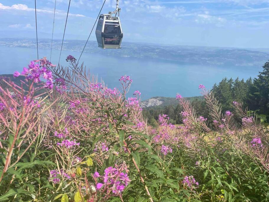 Studio Myrtilles Du Leman Vue Sur Lac Et Montagne Thollon-les-Memises Exteriör bild